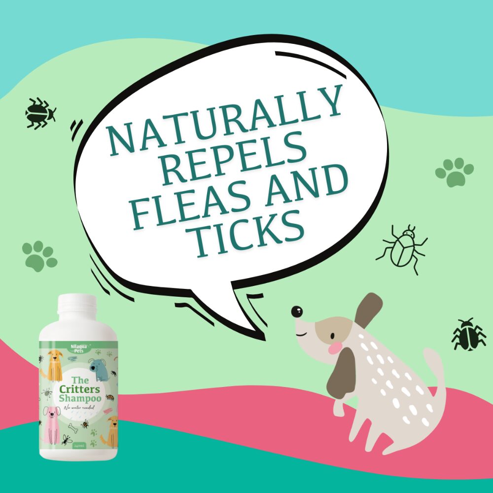 Dog no rinse Waterless shampoo, brand Nilaqua