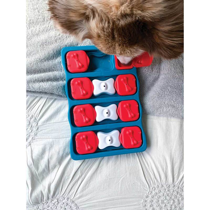 Dog playing with a blue and red interactive dog puzzle toy on a textured surface