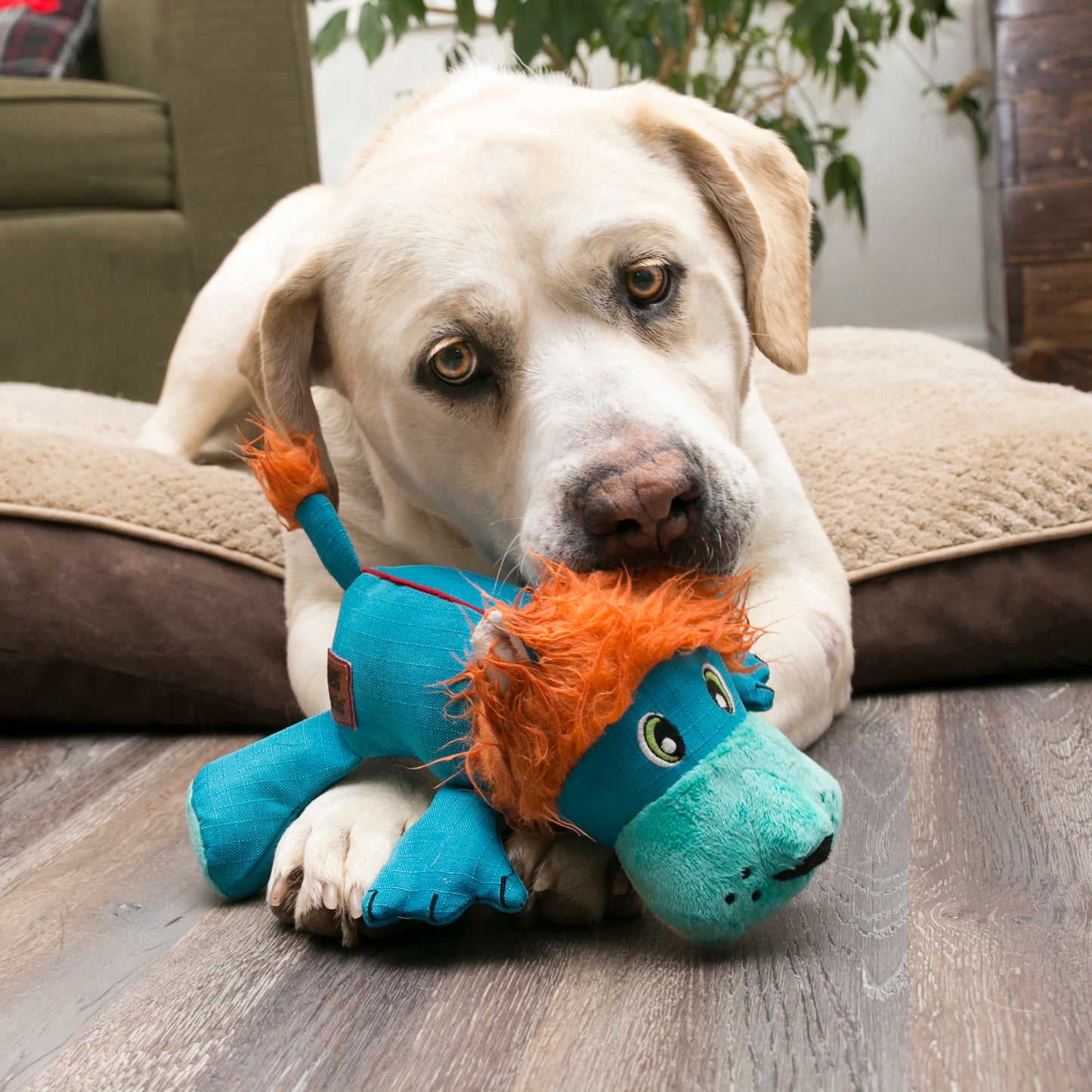 Kong Cozie | Ultra Tough Ella Elephant Dog Toy