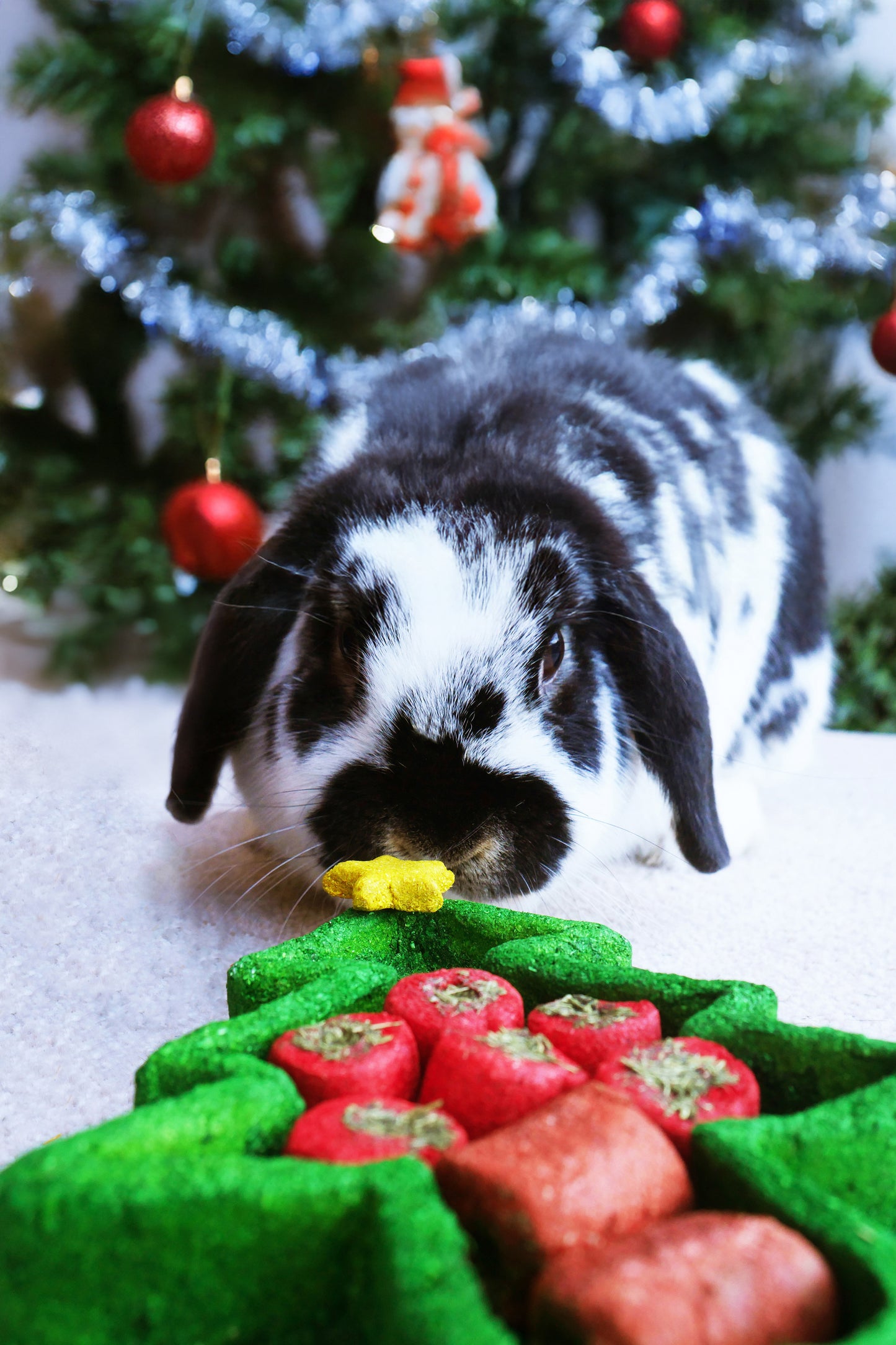 Small rabbit near a Christmas-themed treat tree with red and green decorations.