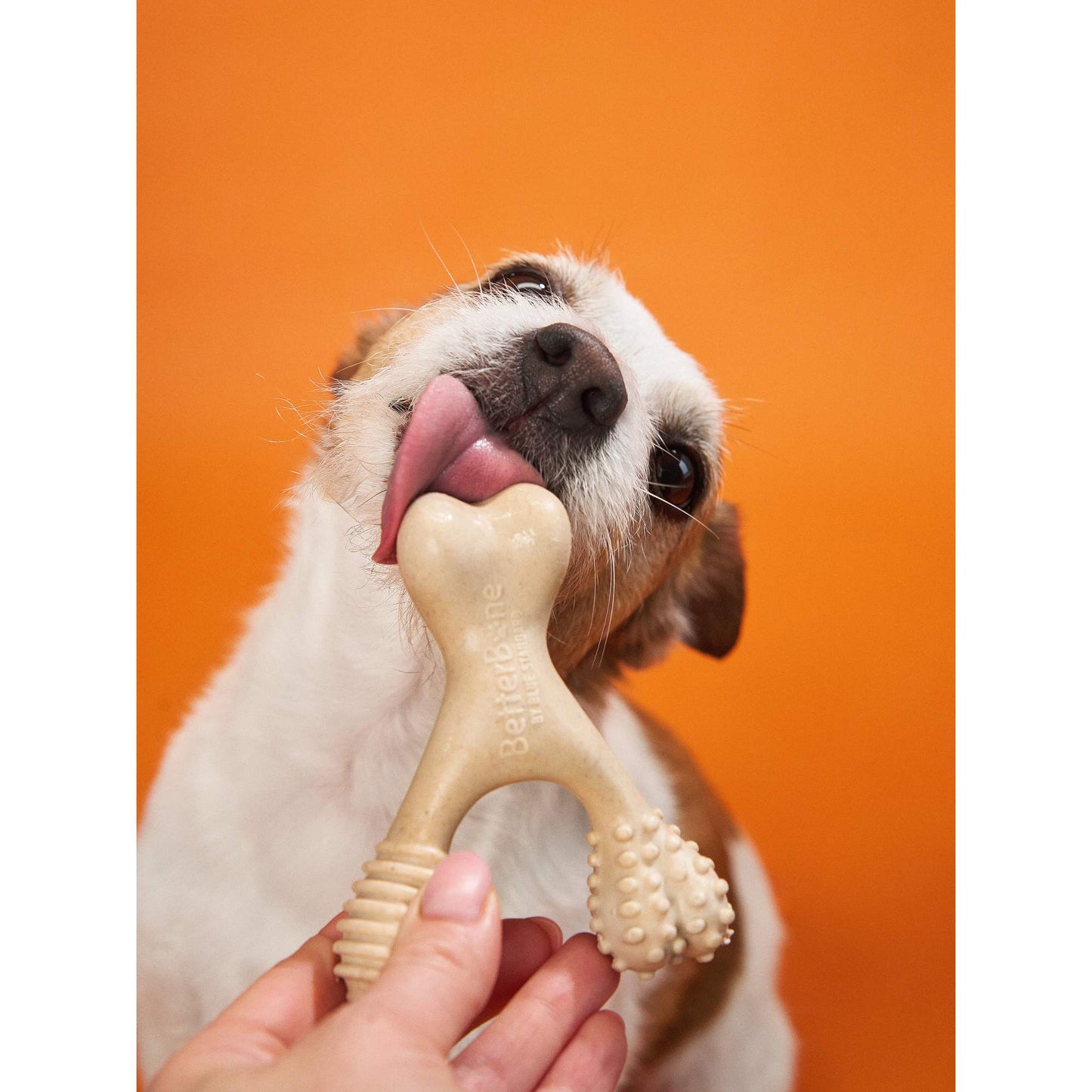 BetterBone | Dog Chew Toy | Hard Durability for Super Tough Chewers - Classic Hypoallergenic Flavour