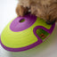 Dog playing with a green and purple toy on a white background