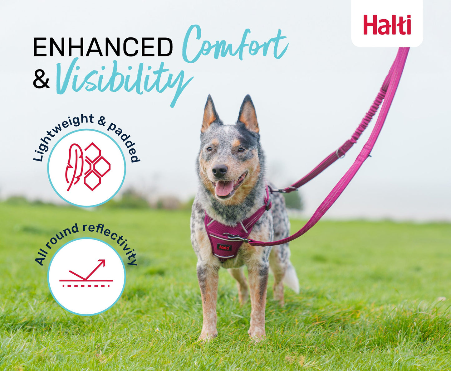 Halti Anatomy Multi Lead | Adjustable, Comfortable & Versatile Dog Walking