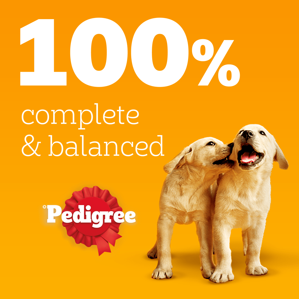 Pedigree Puppy Mixed Selection In Jelly 🐔🐑🐮 Wet Dog Food Pouches 12 x 100g