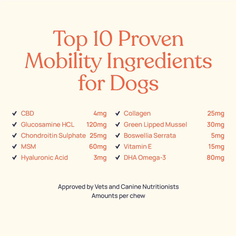 Barkt Mobility Supplements for Dogs | Natural Remedy (was Vixen)