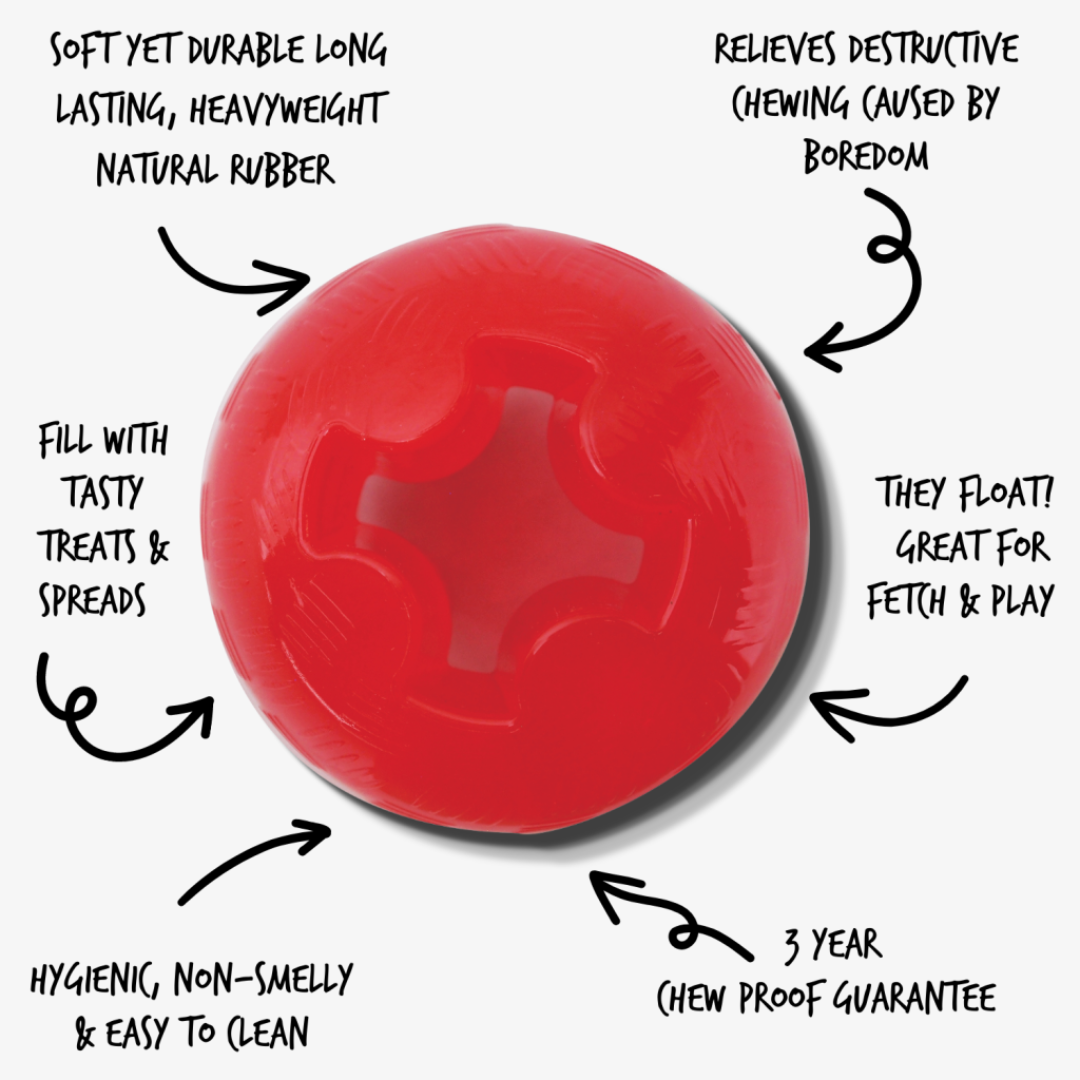 Mighty Mutts Rubber Ball | Tough Dog Toy