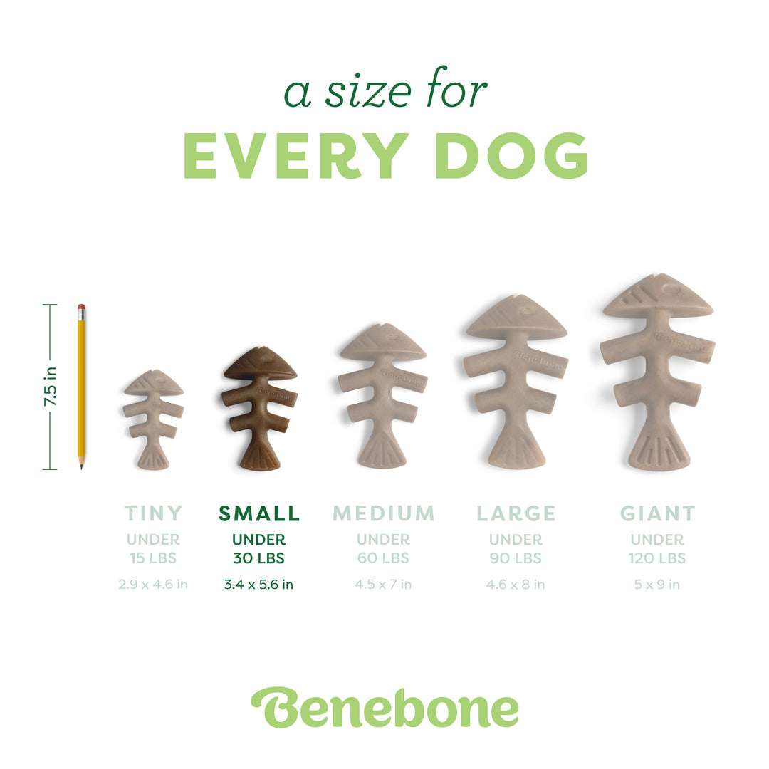 Benebone Jack Salmon Infused Fishbone | Durable Dog Chew Toy