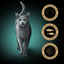 Sheba | Wet Cat Food Pouches | Fresh & Fine Single Servings | Tuna, Cod & White Fish Selection in Gravy - 6 x 50g