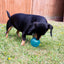 Rosewood BioSafe | Puppy Ball Toy