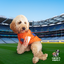 Armagh GAA Dog Jersey County Football Shirt for Dogs