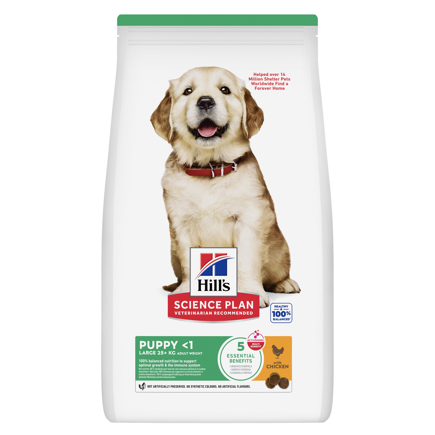 Hill's Science Plan Puppy Chicken 🐔 Large Breed Dry Dog Food