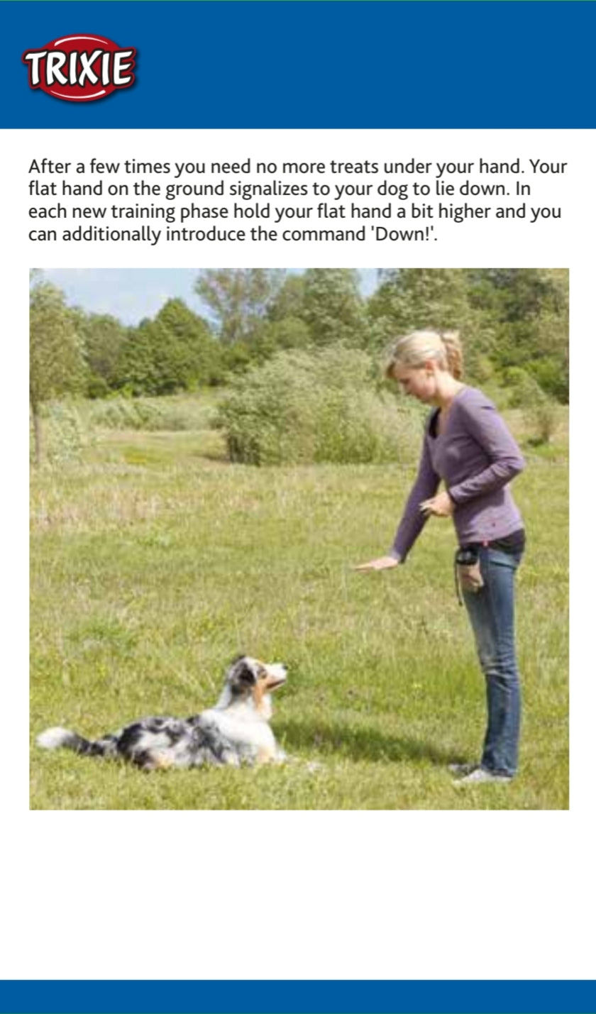 Trixie | Dog Activity | Training Touch Target Stick