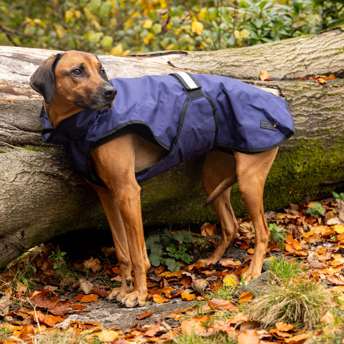 Danish Design 3-in-1 Dog Coat - Navy | Versatile All Weather Protection for Every Season
