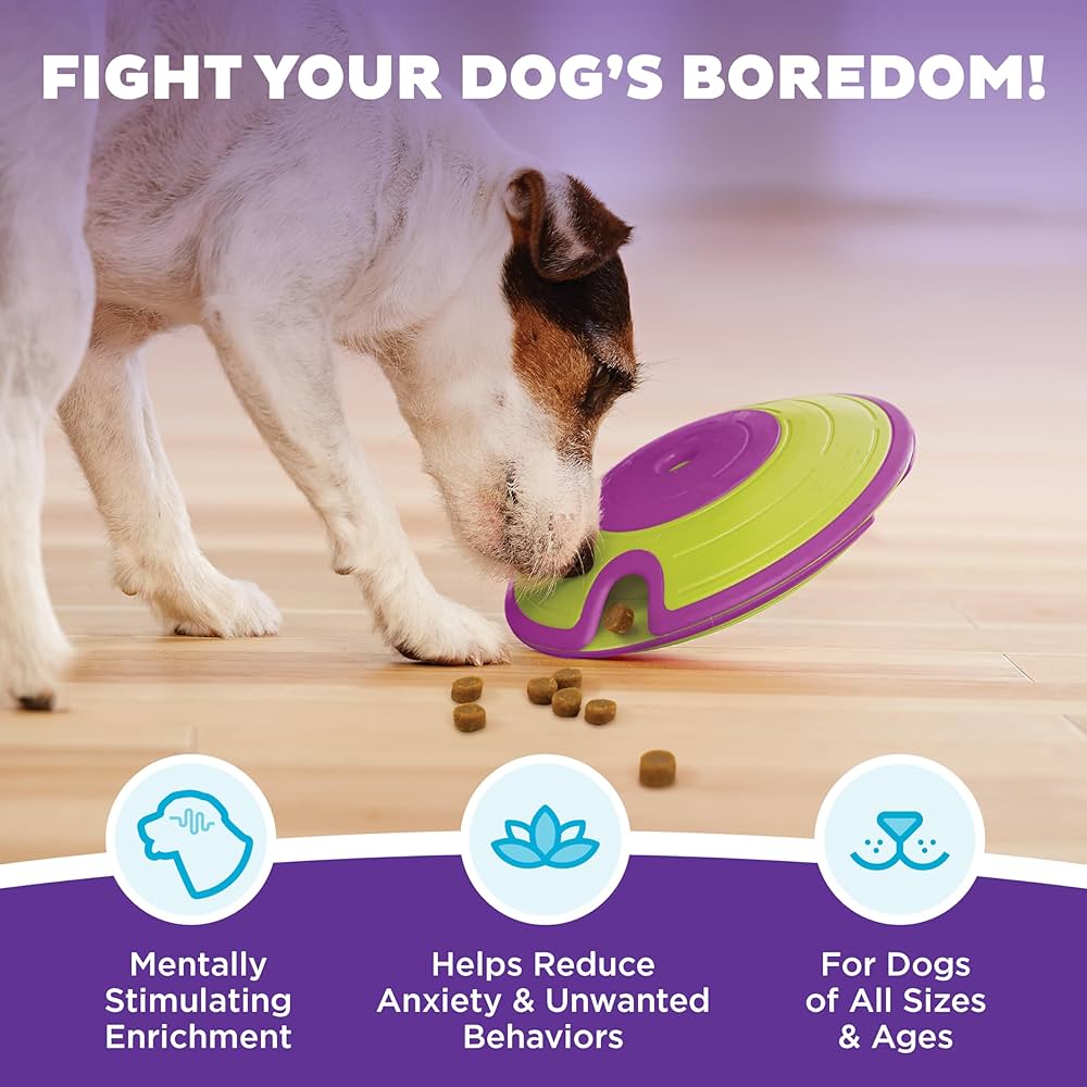 Dog interacting with a green and purple toy on a wooden floor, with text promoting mental stimulation and reducing anxiety.