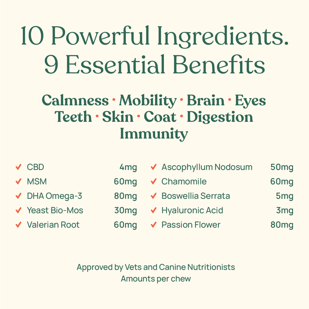 Barkt All in One Supplements for Dogs | Natural Remedy (was Vixen)