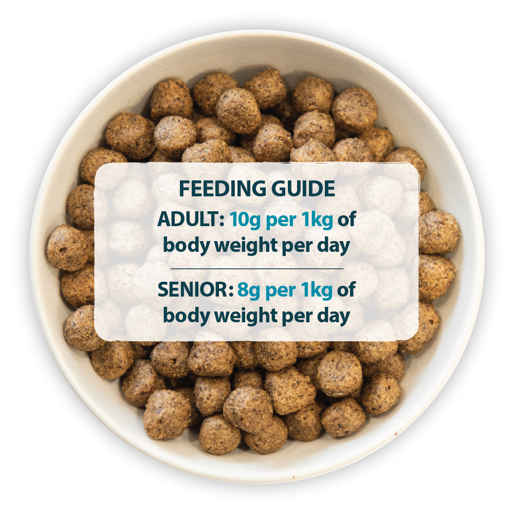Burns Duck & Potato Adult Sensitive 🦆 Original Holistic Grain Free Dry Dog Food