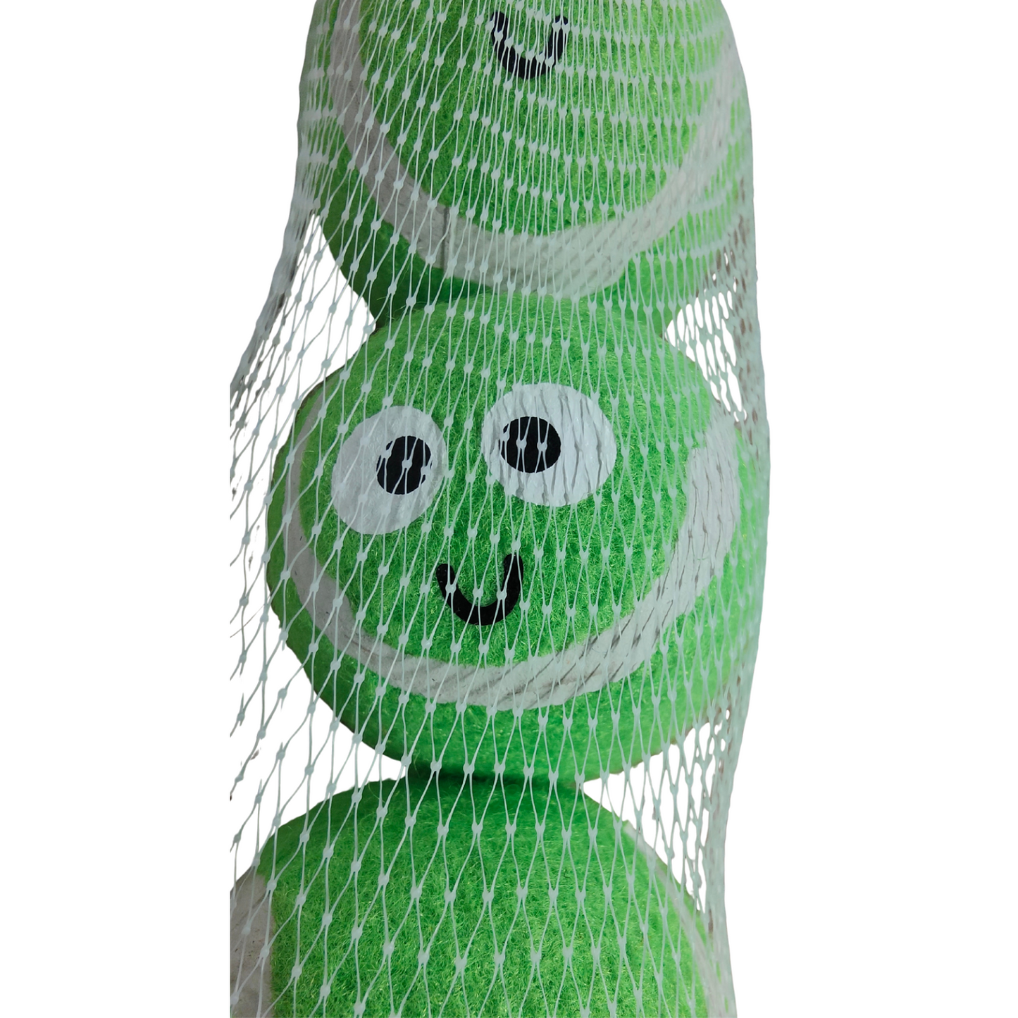 Green plush dog toy with a face in a mesh bag on a white background