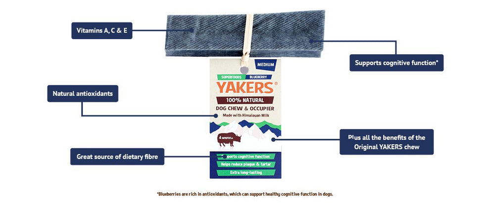 Yakers Blueberry 🫐🧀 Himalyan Yak Milk | Hard Cheese Dog Chew