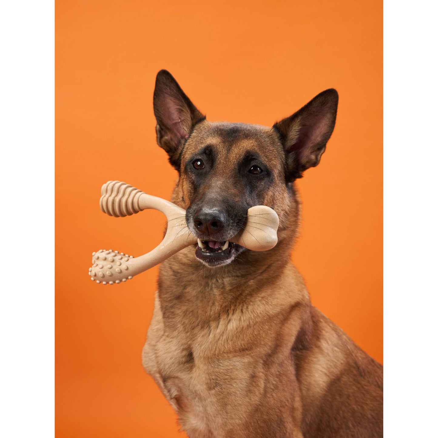 BetterBone | Dog Chew Toy | Hard Durability for Super Tough Chewers - Classic Hypoallergenic Flavour