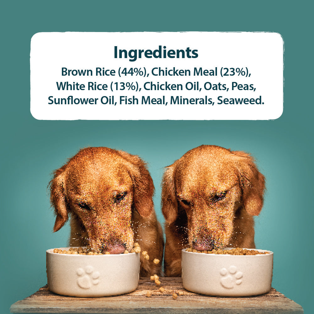 Burns Toy & Small Breed Chicken & Rice Adult Holistic Gluten Free Dry Dog Food