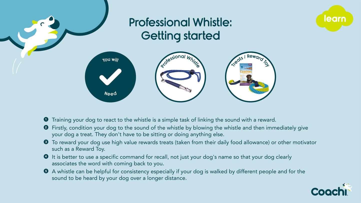 Coachi | Professional Dog Training Whistle for Recall & Distance Control