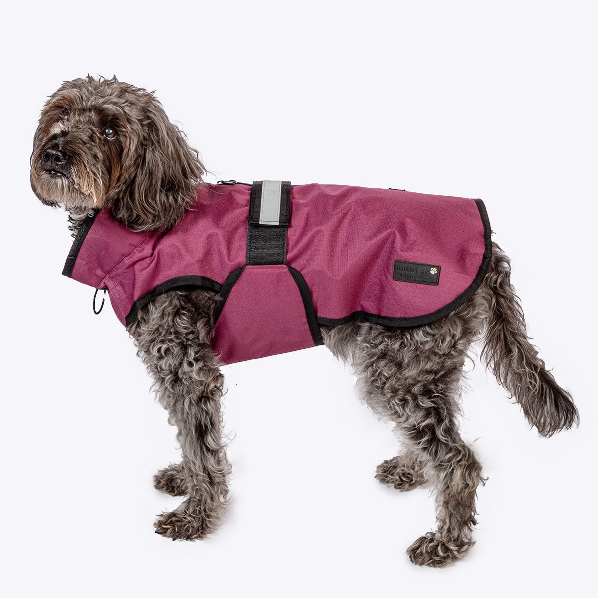 Danish Design 3-in-1 Dog Coat - Plum | Versatile All Weather Protection for Every Season