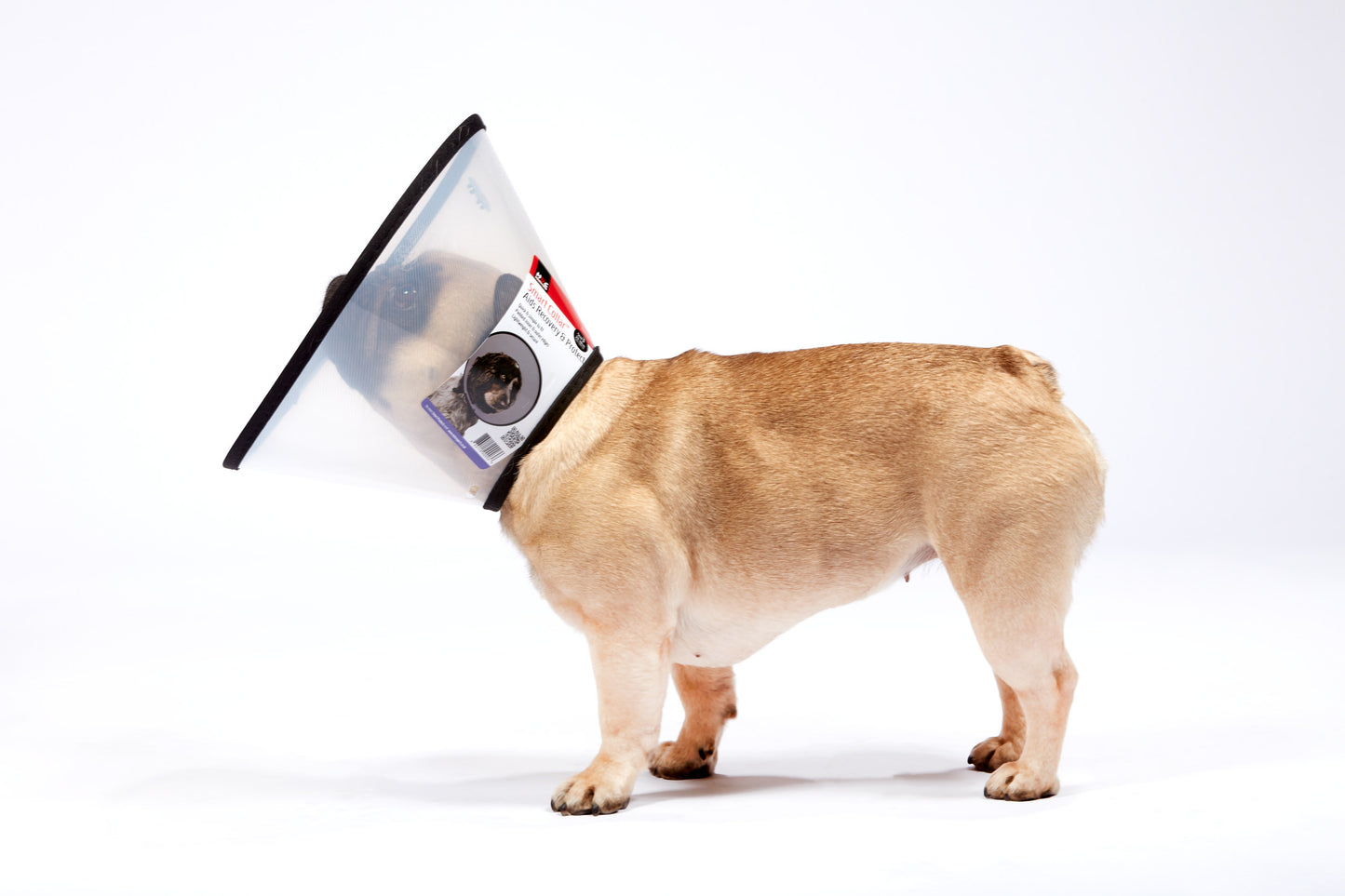 MDC | Dog & Cat Surgical Recovery | Smart Collar