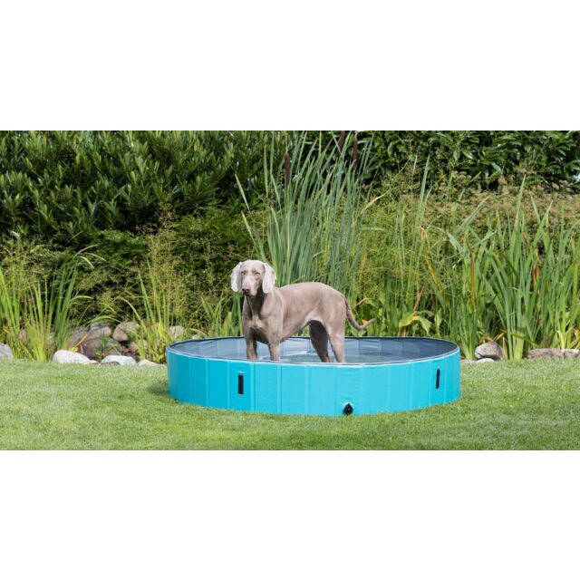 Trixie | Dog Swimming & Padding Pool | Heatwave & Summer Pet Care