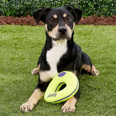 KONG AirDog Donut | Dog Toy