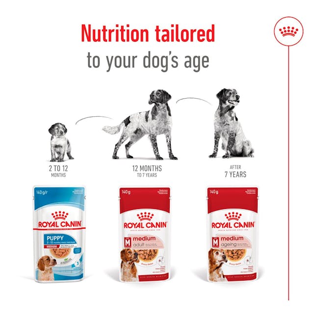 Royal Canin Medium Adult 🐕 Size Health Nutrition Wet Dog Food