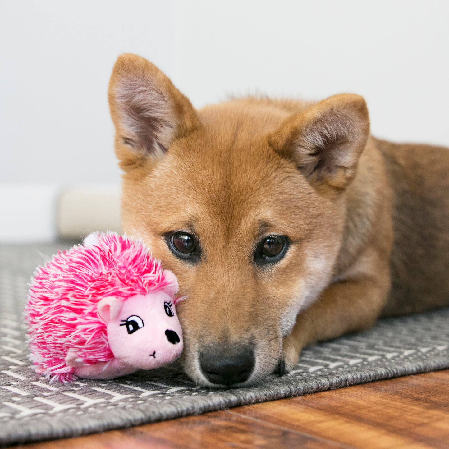KONG Comfort | Puppy Hedgehog Comforter | Soft Dog Toy