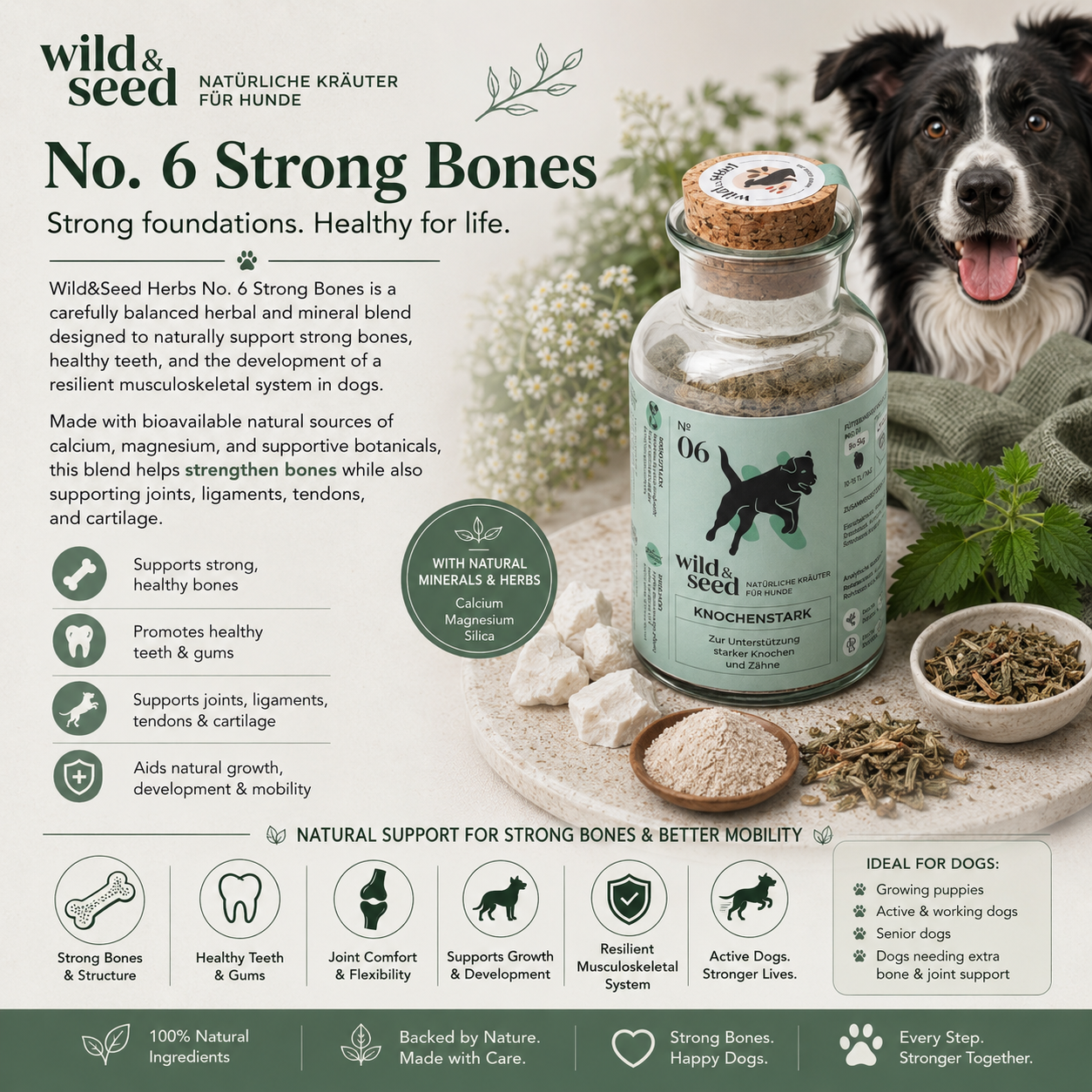 Wild&Seed Herbs No. 6 KnochenStark | Natural Bone, Teeth & Joint Support for Dogs