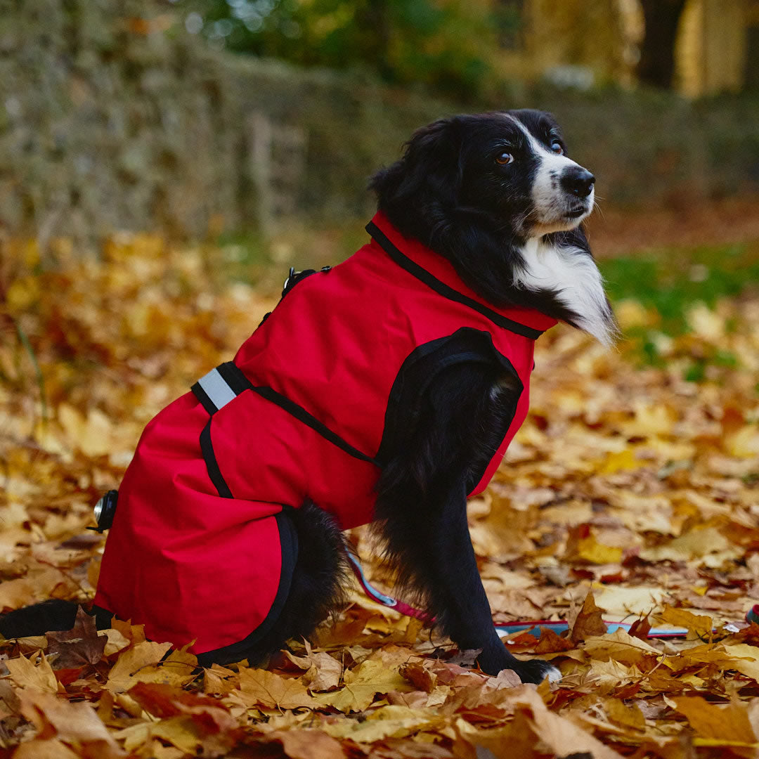 Danish Design 3-in-1 Dog Coat - Red | Versatile All Weather Protection for Every Season