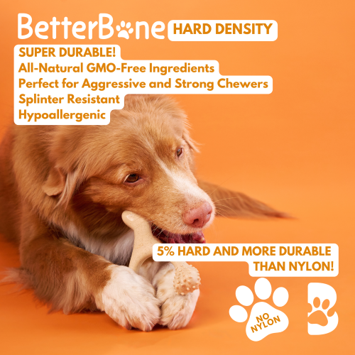 BetterBone | Dog Chew Toy | Hard Durability for Super Tough Chewers - Classic Hypoallergenic Flavour