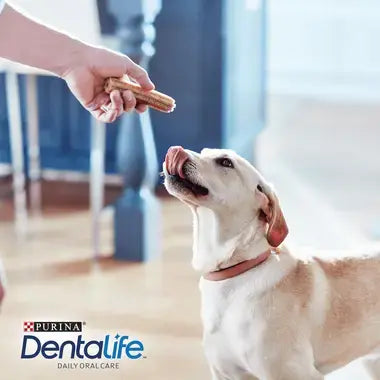Dentalife Daily Oral Chew Sticks | Dental Dog Treats by Purina