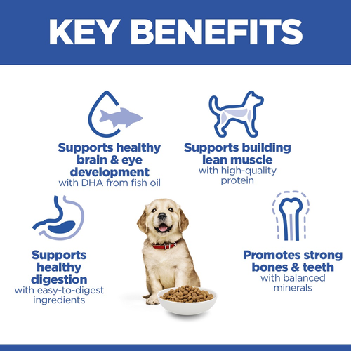 Hill's Science Plan Puppy Chicken 🐔 Large Breed Dry Dog Food