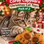 Corby Capybara 🦫 Pack of 2 Christmas Cat Toys by Happy Pet