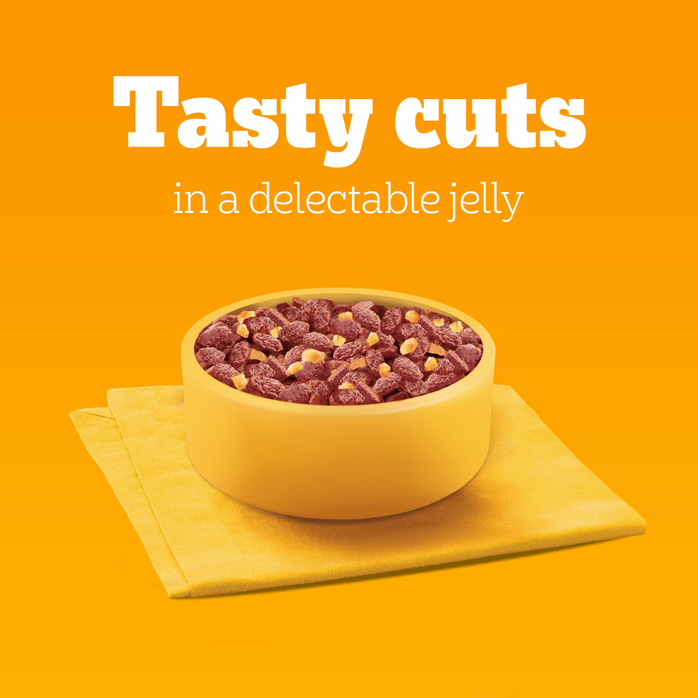 Pedigree Mixed Selection In Jelly Wet Dog Food Pouches 40 x 100g