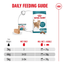 Royal Canin | Ageing 11+ Wet Cat Food Tin | Air Mousse | Senior Cat Nutrition | 85g
