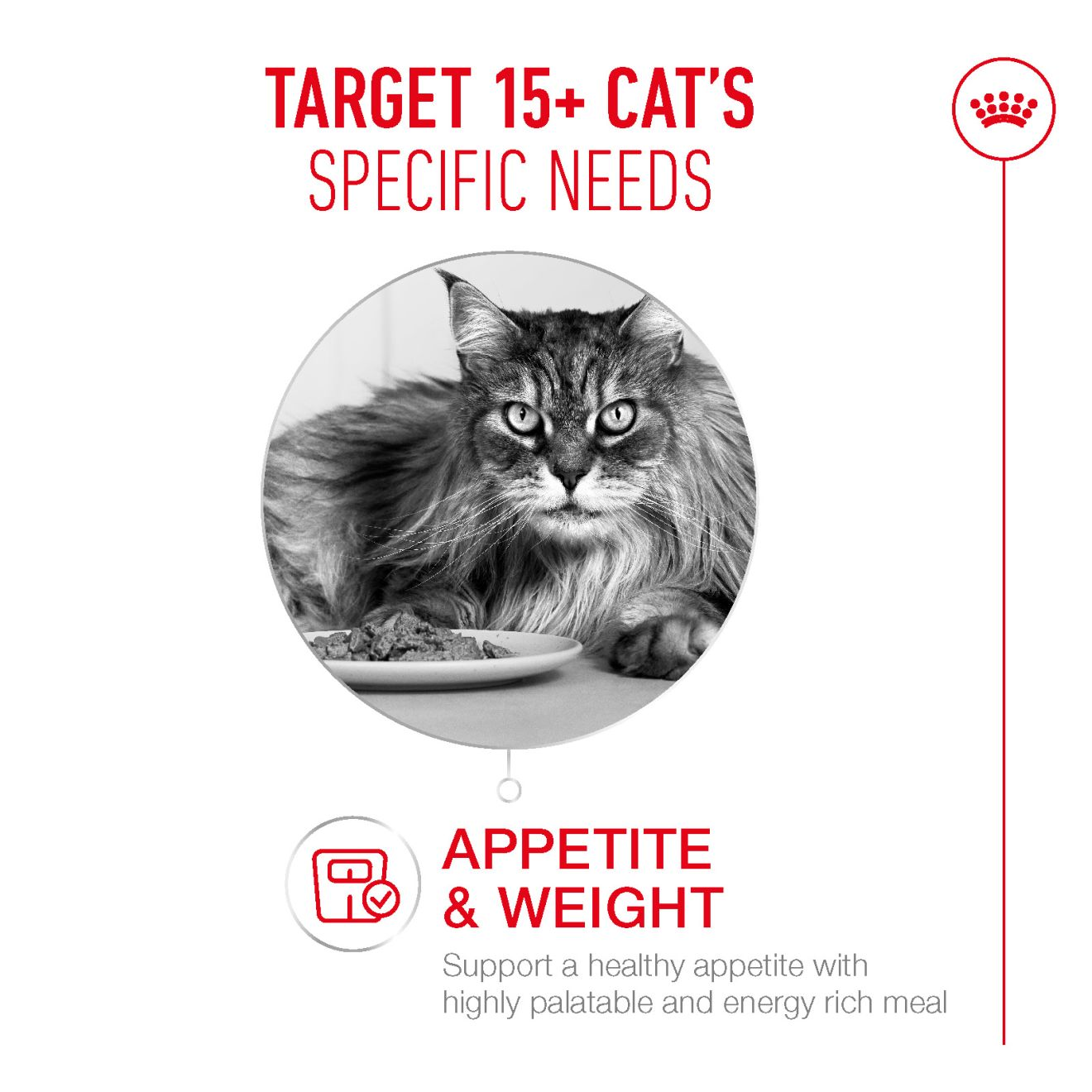Advertisement for cat food targeting older cats with text about appetite and weight support.