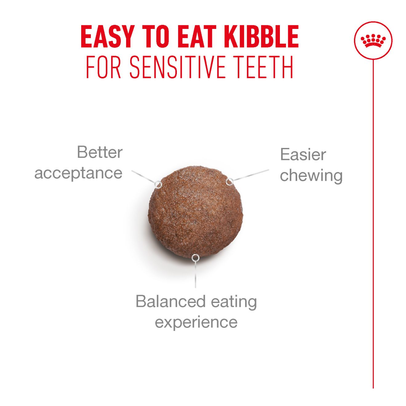cat kibble with text highlighting its benefits for sensitive teeth on a white background