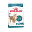 Royal Canin cat food package for senior cats over 15 years old on a white background