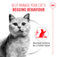 Royal Canin | Appetite Control Care | Wet Cat Food Tin | Air Mousse | Cat Nutrition | 85g