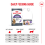 Royal Canin | Appetite Control Care | Wet Cat Food Tin | Air Mousse | Cat Nutrition | 85g