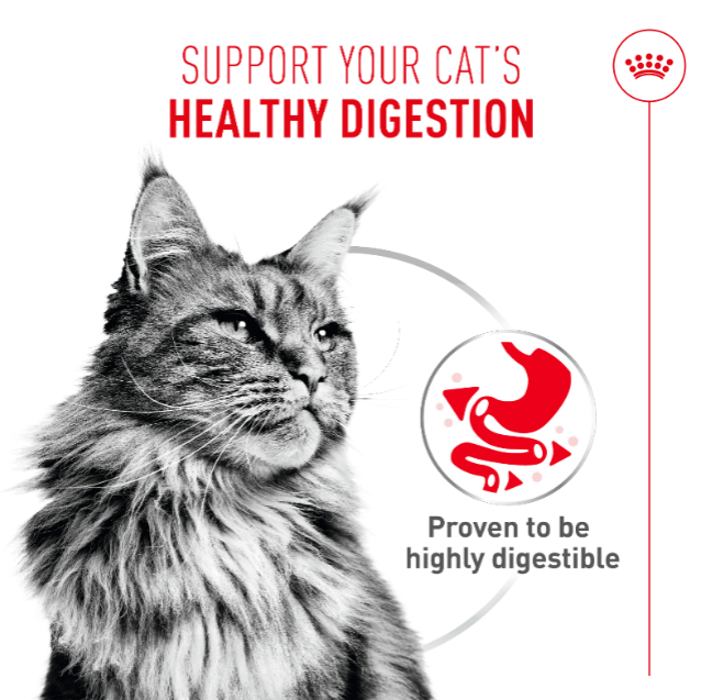 Royal Canin | Digestive Care | Wet Cat Food Tin | Air Mousse | Cat Nutrition | 85g