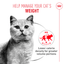 Royal Canin | Light Weight Care | Wet Cat Food Tin | Air Mousse | Cat Nutrition | 85g
