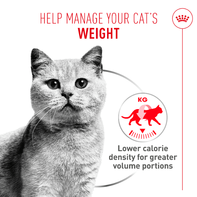 Royal Canin | Light Weight Care | Wet Cat Food Tin | Air Mousse | Cat Nutrition | 85g