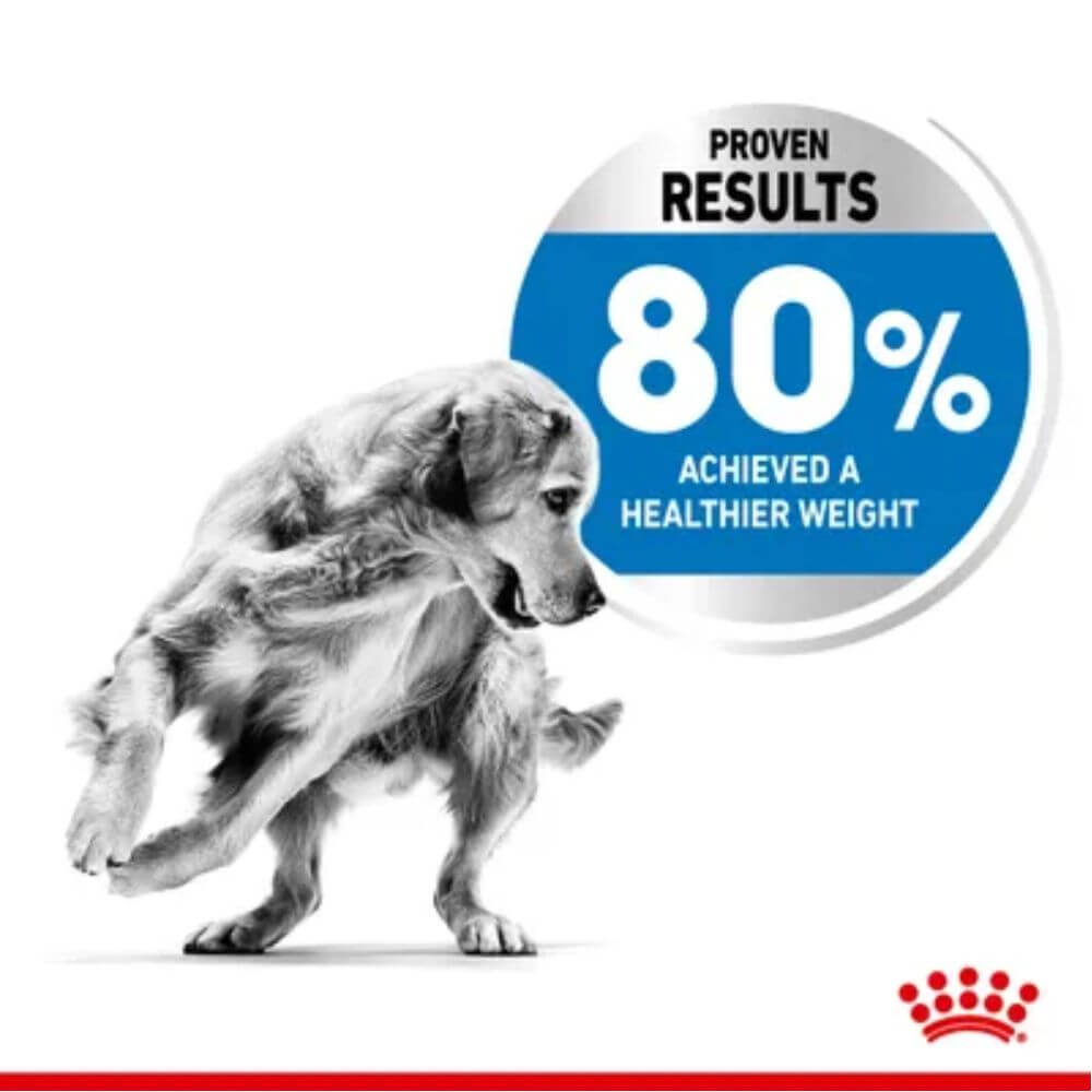 Royal Canin Medium Light Size Health Nutrition Dry Dog Food