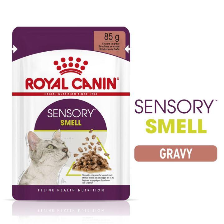 Royal Canin Sensory Smell | Aromatic Wet Cat Food - 85g
