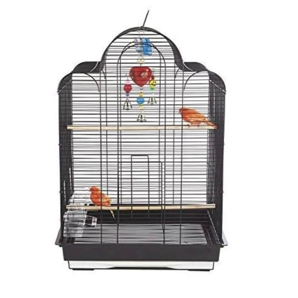 A black metal bird cage with two wooden perches, a hanging red toy, and two small orange birds perched inside, shown against a plain white background.